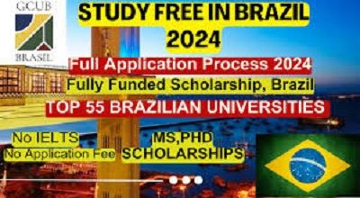 How to apply to a University in Brazil? Admission Process In 2024