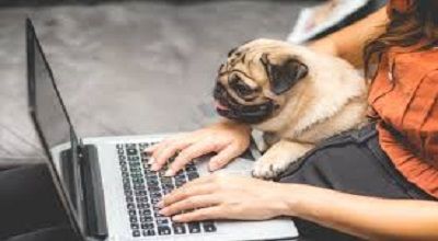 Allowing Pets in the Workplace