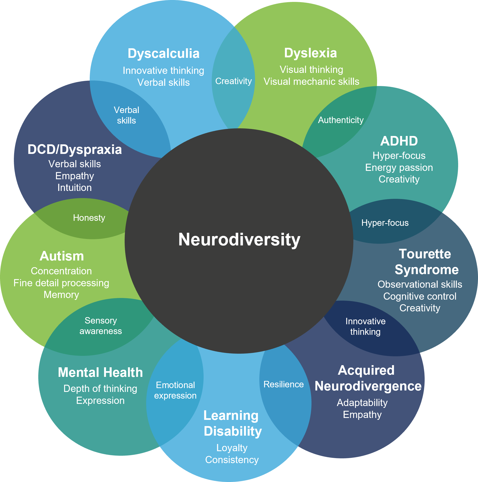 Judy Singer and Neurodiversity - Professional Development in Education