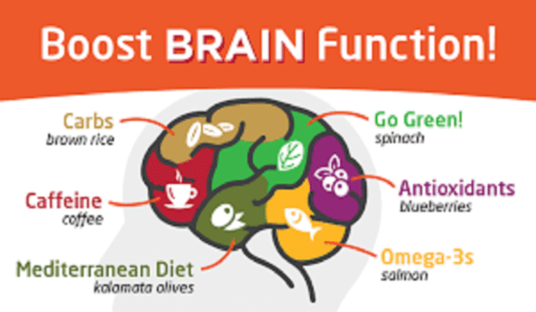 Boost Your Brainpower: How to Optimize Brain Health for Better Studying?