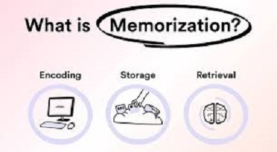 Memorization in Education: Why It’s Essential for Long-Term Learning