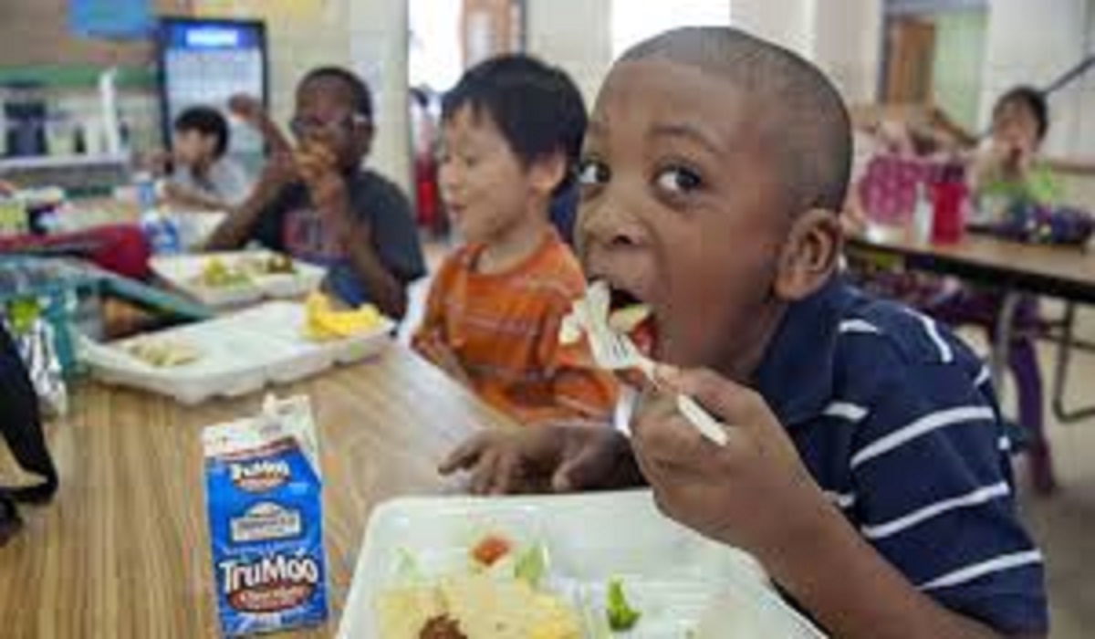 Boosting Student Success with Healthy School Meals—No More Junk Food