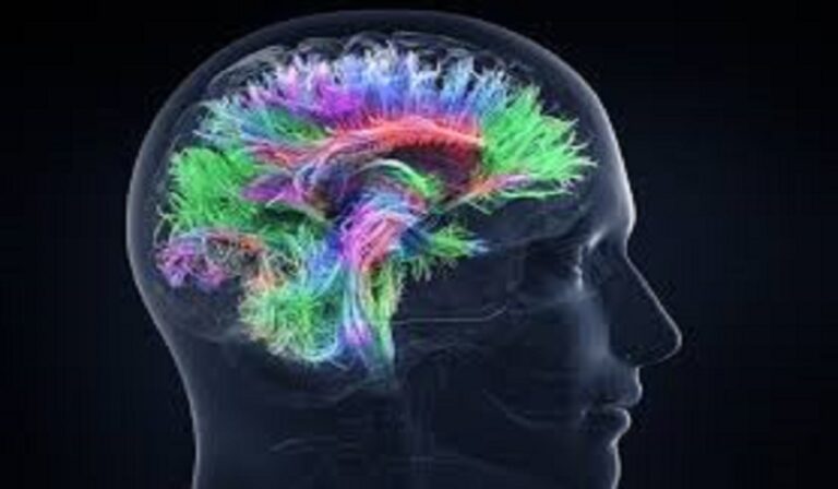 Learn a Language Faster Using Brain Science – Latest Insights