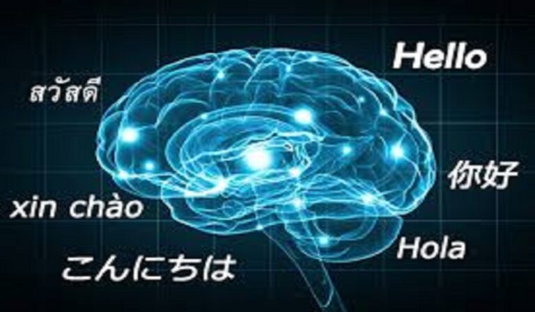 Mind Gains of Multilingualism: How Multilingualism Boosts Your Brain