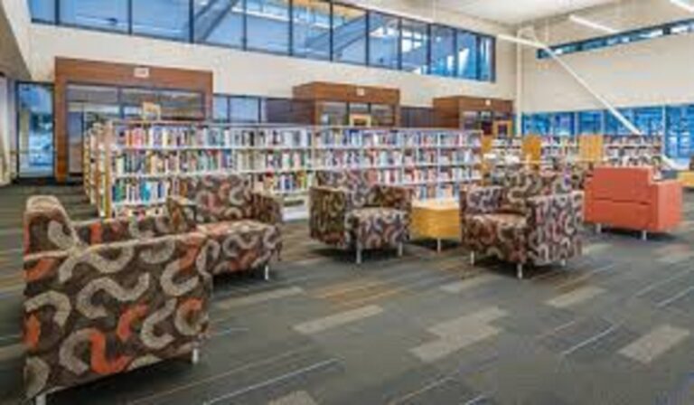 Building a Diverse Library Collection for a Modern Community - Latest